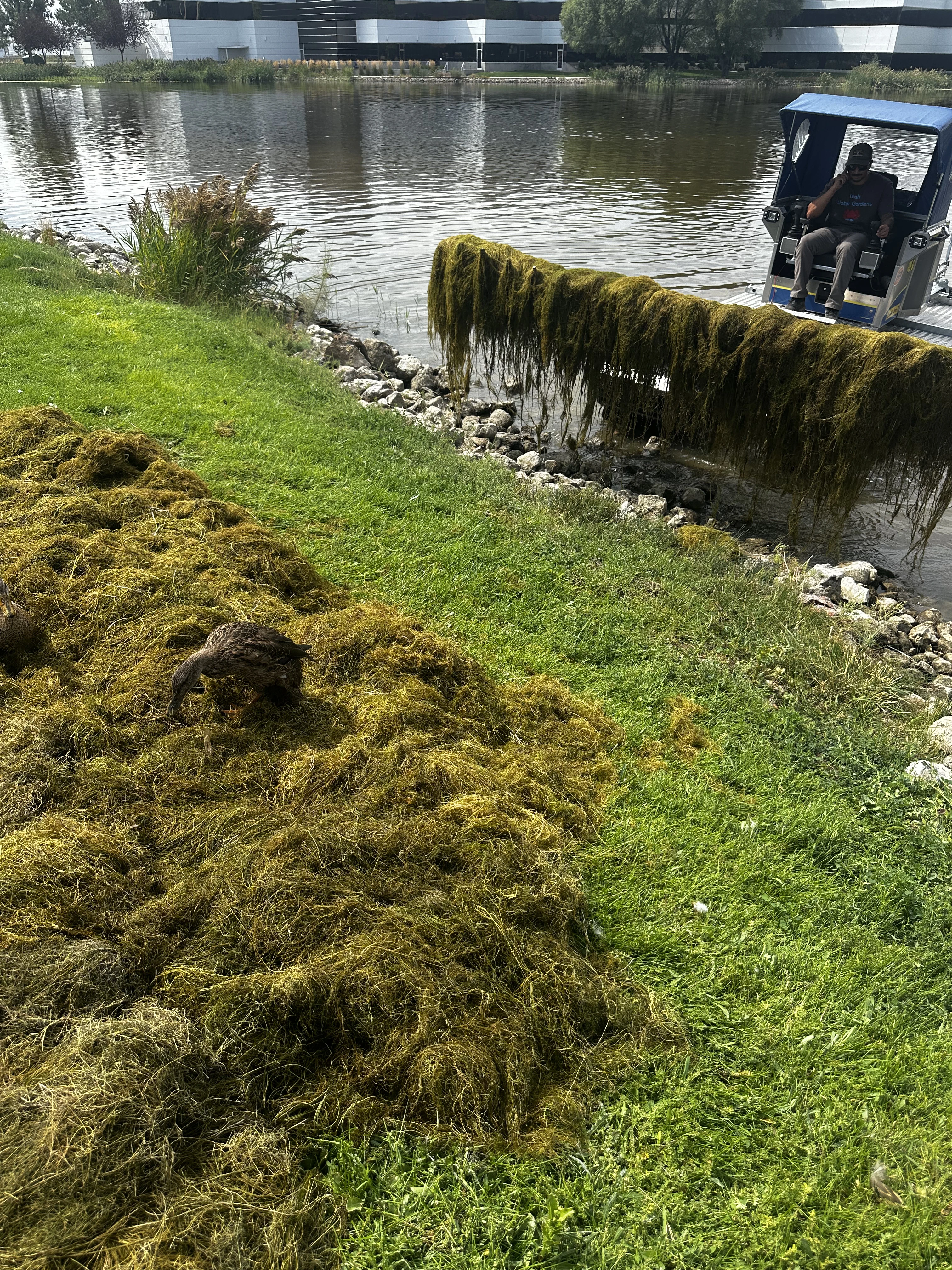 Herbicide application support following aquatic harvesting in Utah