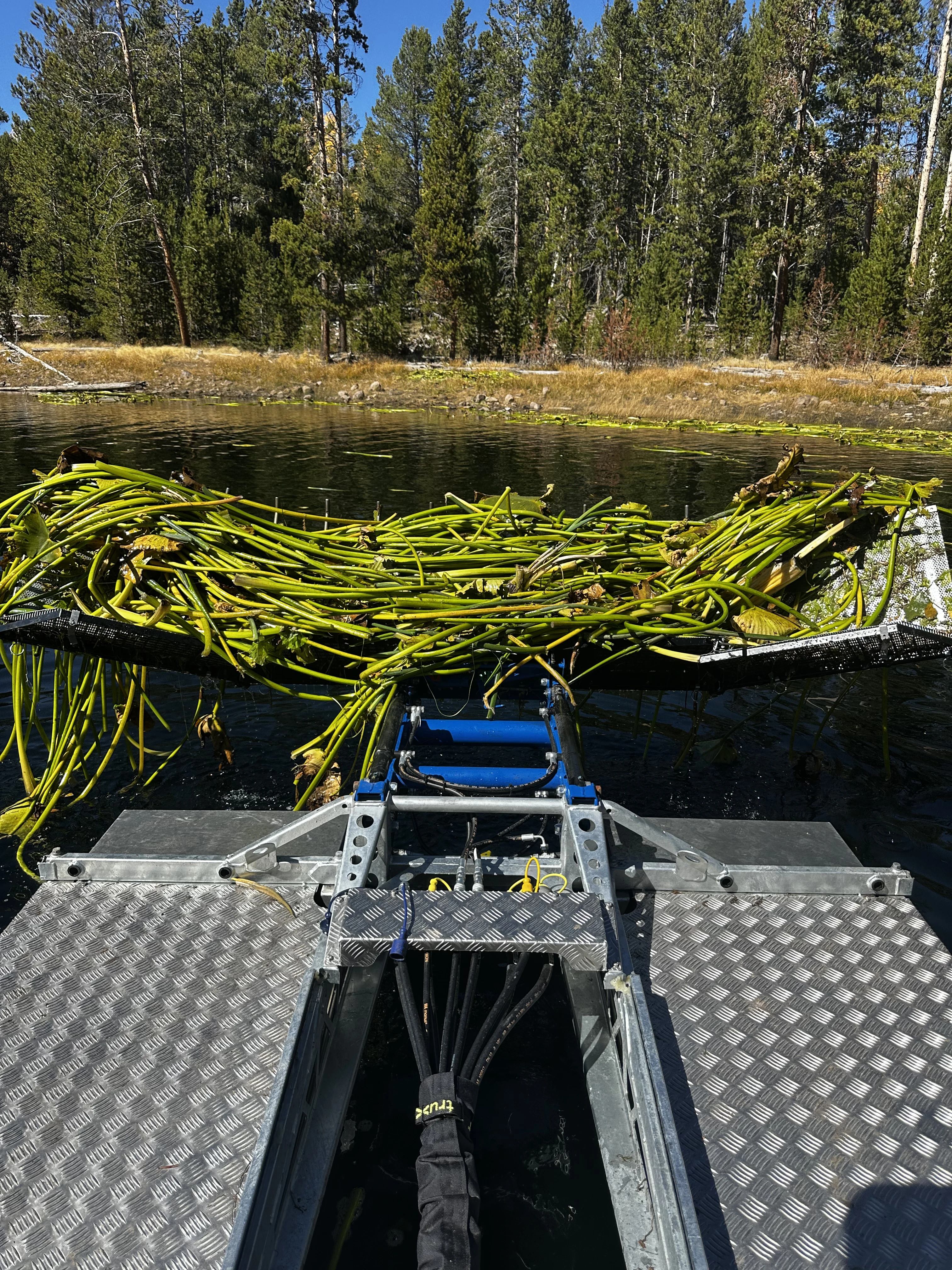 Truxor machine harvesting aquatic vegetation in Utah
